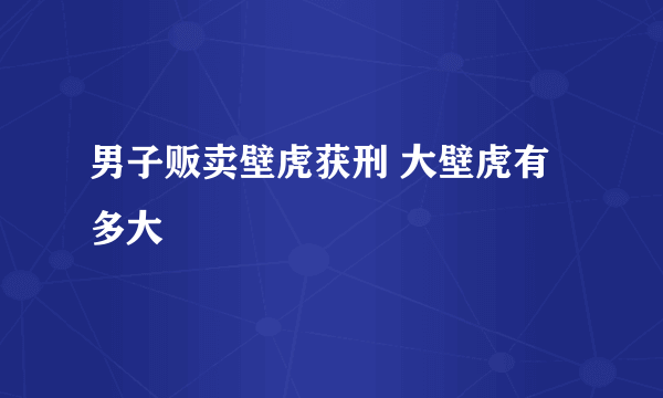 男子贩卖壁虎获刑 大壁虎有多大