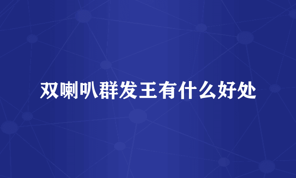 双喇叭群发王有什么好处