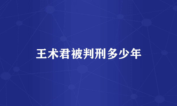 王术君被判刑多少年