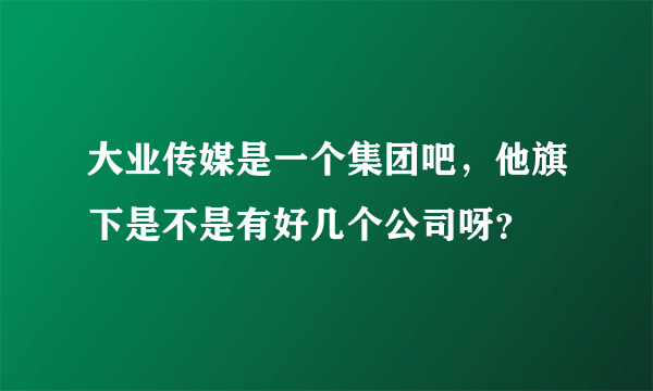 大业传媒是一个集团吧，他旗下是不是有好几个公司呀？