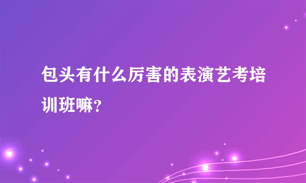 包头有什么厉害的表演艺考培训班嘛？