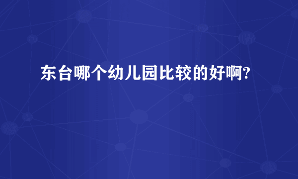 东台哪个幼儿园比较的好啊?