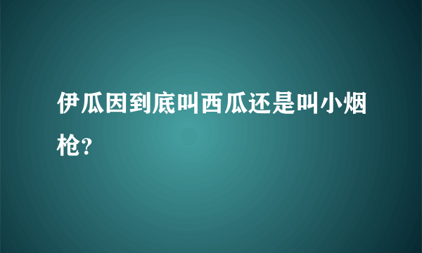 伊瓜因到底叫西瓜还是叫小烟枪？