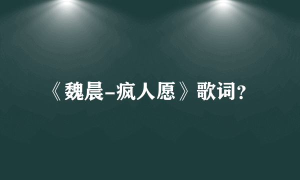 《魏晨-疯人愿》歌词？