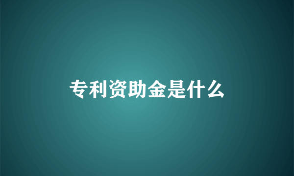 专利资助金是什么