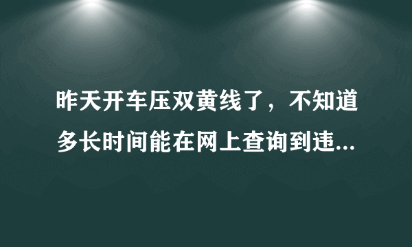 昨天开车压双黄线了，不知道多长时间能在网上查询到违章记录？