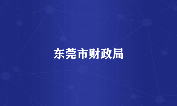 东莞市财政局