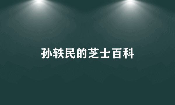 孙轶民的芝士百科