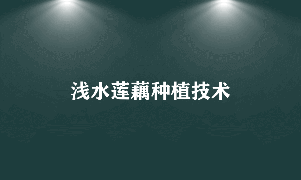 浅水莲藕种植技术