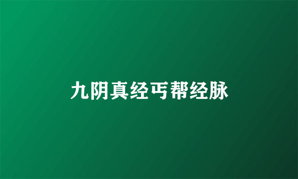 九阴真经丐帮经脉