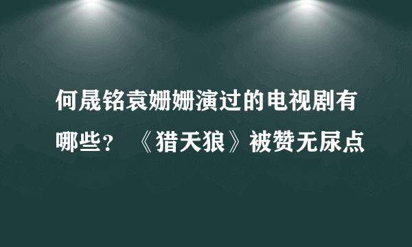 何晟铭袁姗姗演过的电视剧有哪些？ 《猎天狼》被赞无尿点