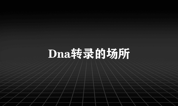 Dna转录的场所