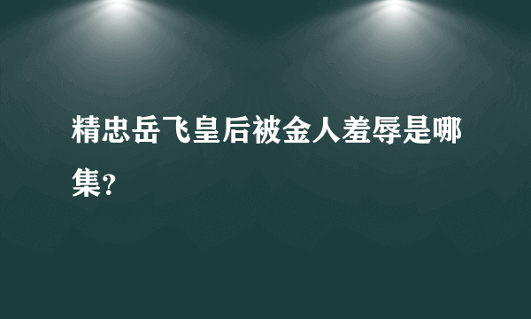 精忠岳飞皇后被金人羞辱是哪集？