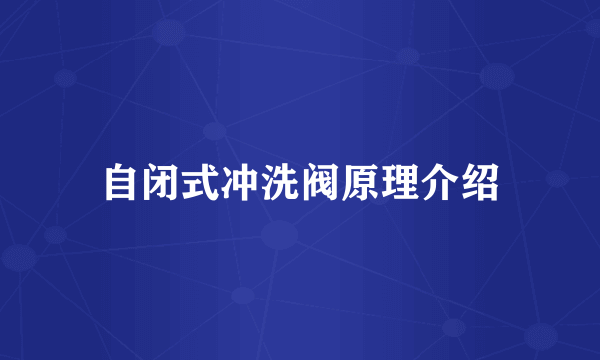 自闭式冲洗阀原理介绍