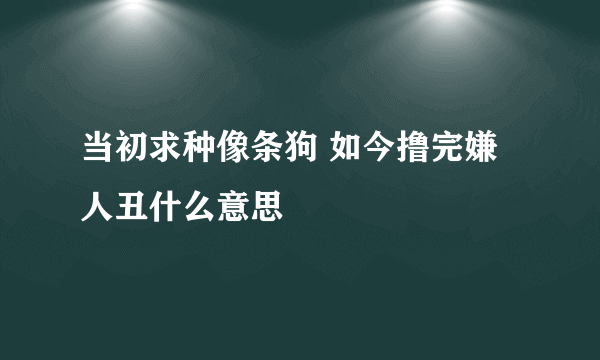 当初求种像条狗 如今撸完嫌人丑什么意思