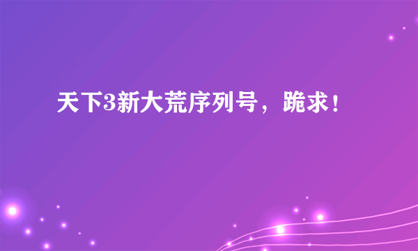 天下3新大荒序列号，跪求！