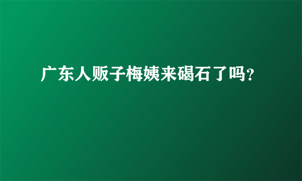 广东人贩子梅姨来碣石了吗？