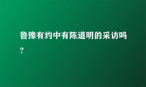 鲁豫有约中有陈道明的采访吗？