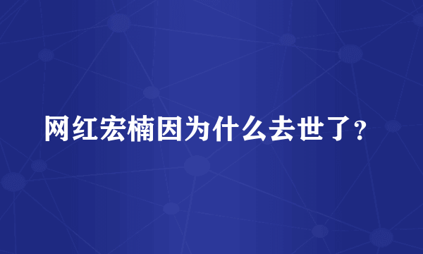 网红宏楠因为什么去世了？