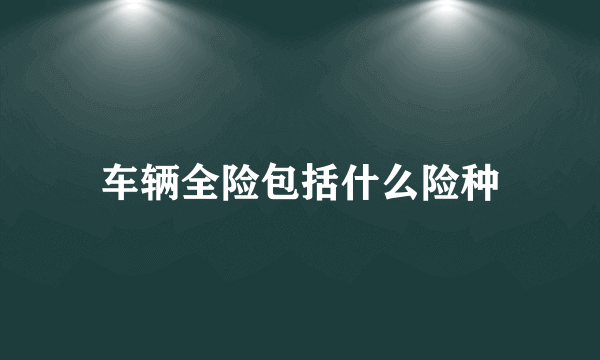 车辆全险包括什么险种
