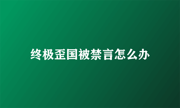 终极歪国被禁言怎么办