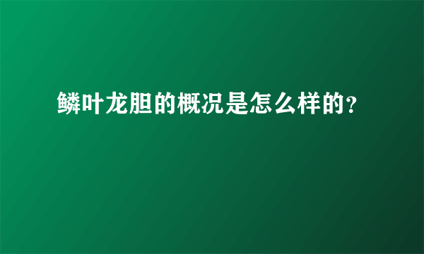 鳞叶龙胆的概况是怎么样的？
