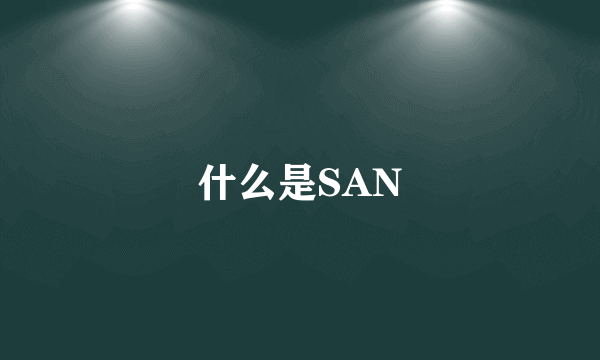 什么是SAN