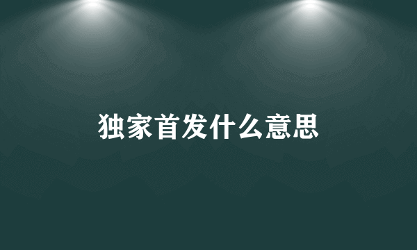 独家首发什么意思