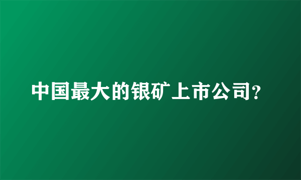 中国最大的银矿上市公司？