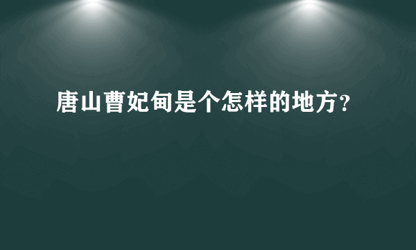 唐山曹妃甸是个怎样的地方？