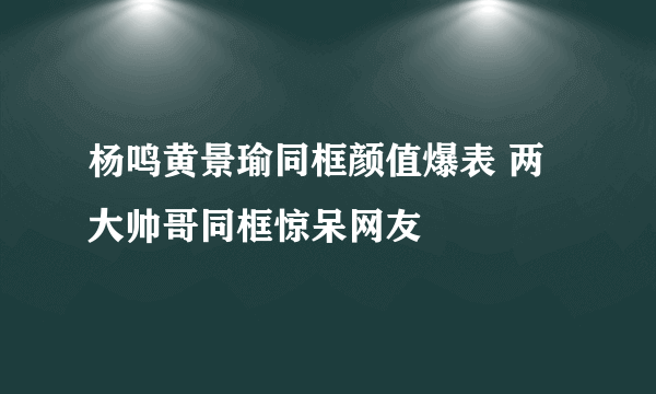 杨鸣黄景瑜同框颜值爆表 两大帅哥同框惊呆网友
