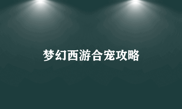 梦幻西游合宠攻略