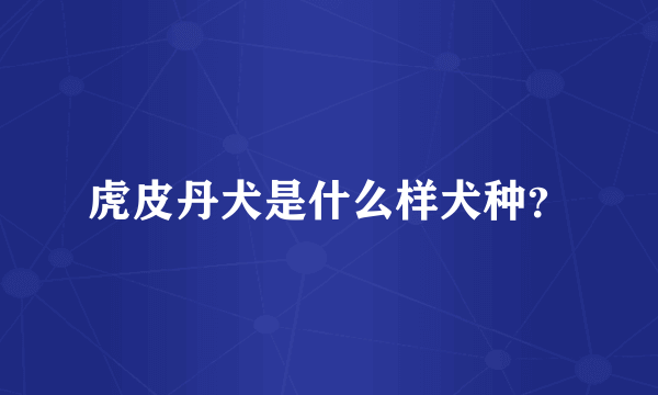 虎皮丹犬是什么样犬种？