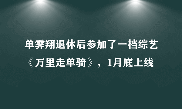 单霁翔退休后参加了一档综艺《万里走单骑》，1月底上线