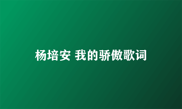 杨培安 我的骄傲歌词