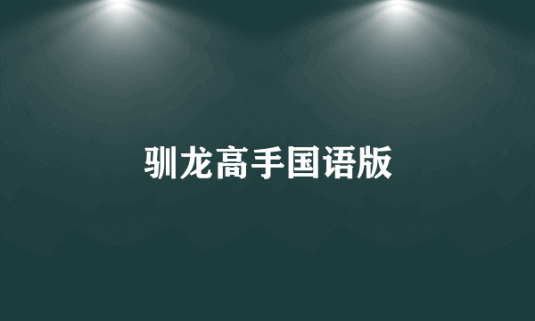 驯龙高手国语版