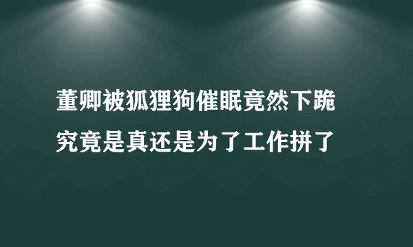 董卿被狐狸狗催眠竟然下跪 究竟是真还是为了工作拼了