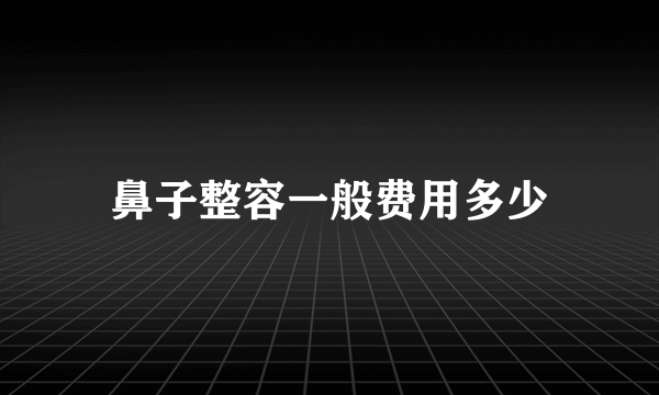 鼻子整容一般费用多少