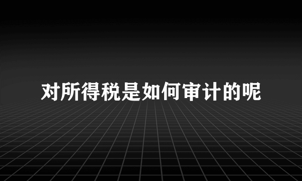对所得税是如何审计的呢