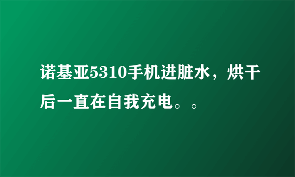 诺基亚5310手机进脏水，烘干后一直在自我充电。。
