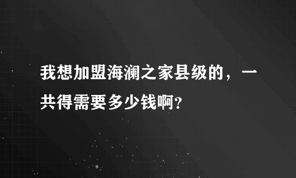 我想加盟海澜之家县级的，一共得需要多少钱啊？