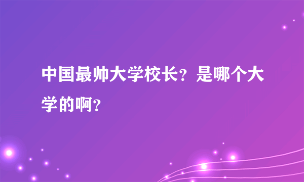 中国最帅大学校长？是哪个大学的啊？