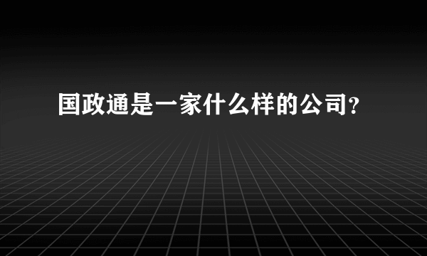 国政通是一家什么样的公司？