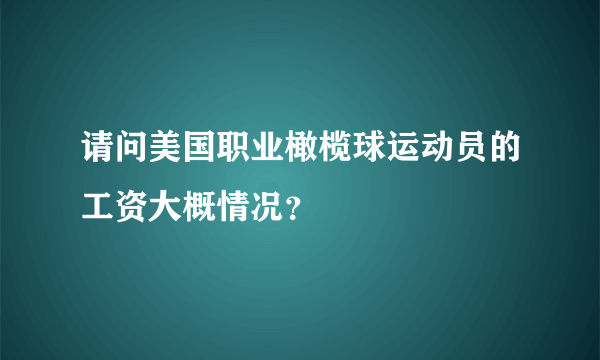 请问美国职业橄榄球运动员的工资大概情况？
