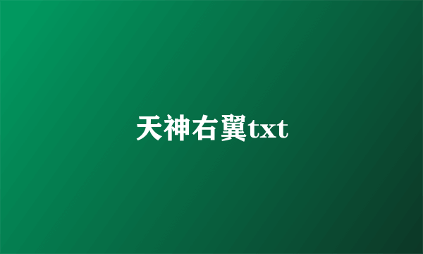 天神右翼txt