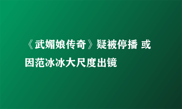 《武媚娘传奇》疑被停播 或因范冰冰大尺度出镜