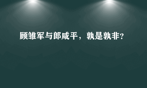 顾雏军与郎咸平，孰是孰非？