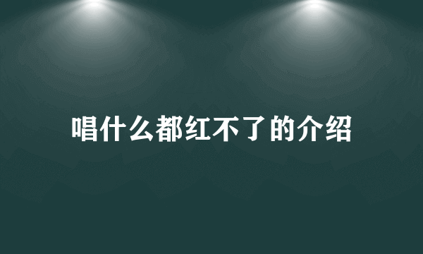 唱什么都红不了的介绍