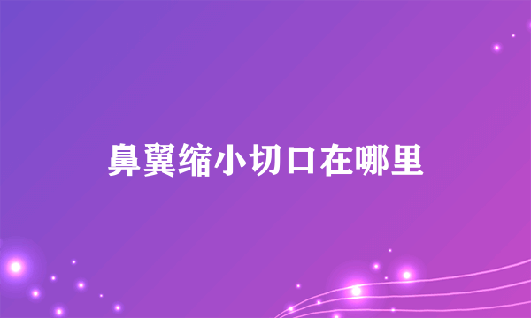 鼻翼缩小切口在哪里
