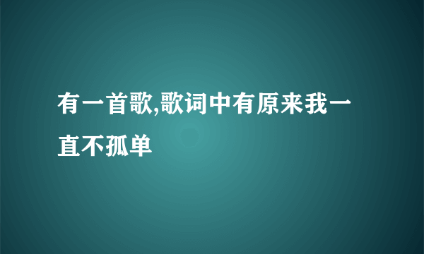 有一首歌,歌词中有原来我一直不孤单